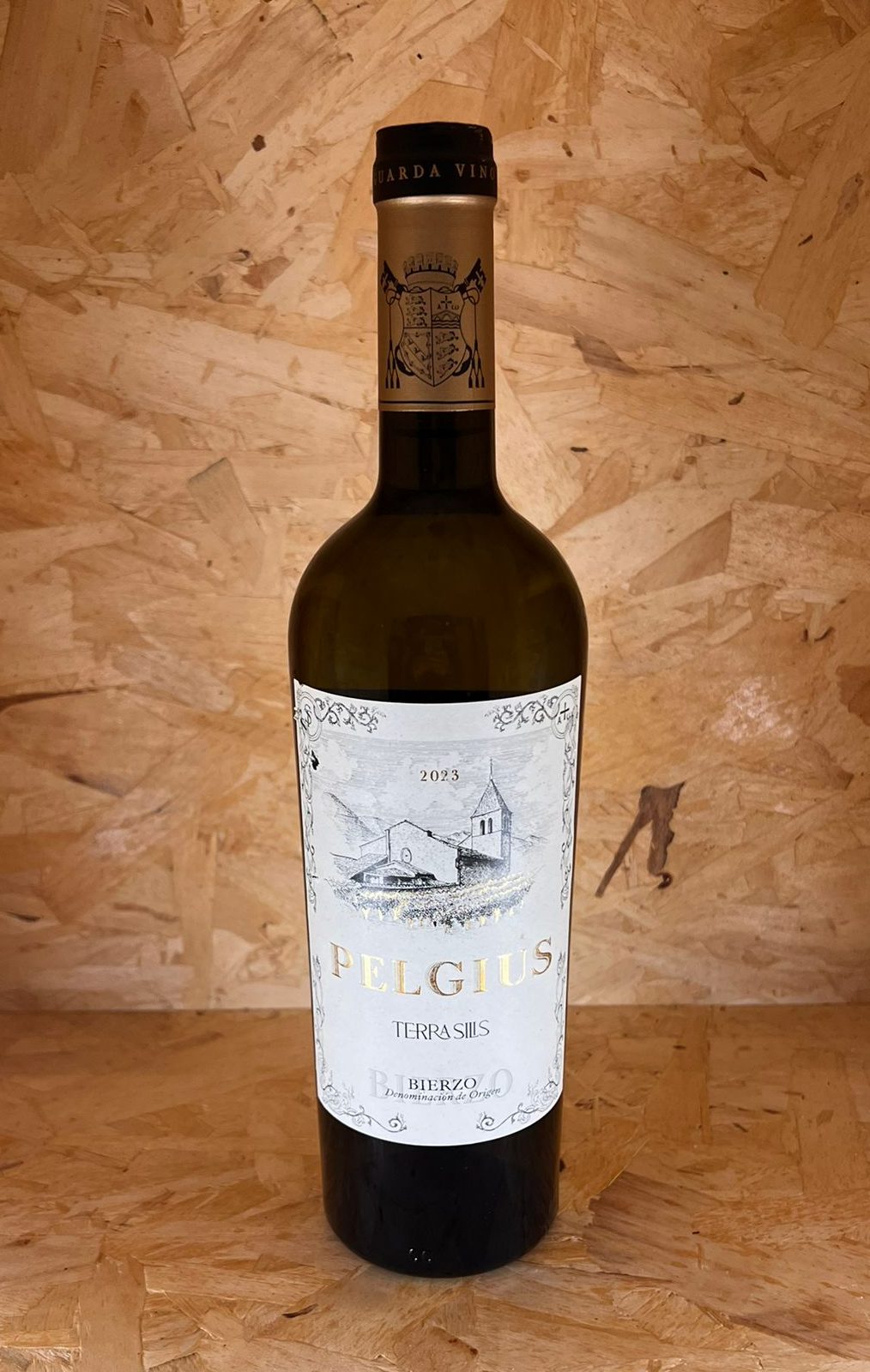 Pelgius Terra Sillis 2023 Godello